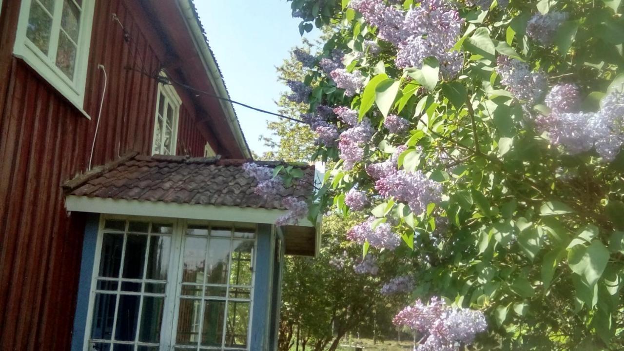 Wallas I Hylte 4, Saevsjoe Lammhult Luaran gambar